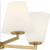 D255M-4CH-BG - Palmyra 24" 4-Light Brushed Gold Chandelier - Designers Fountain