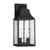 D265M-8EW-BK - Blueberry Trail 19.5" 2-Light Outdoor Wall Lantern Black - Designers Fountain