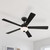 FR-DIN52B30-MB - 52" Dines Indoor Ceiling Fan 3000K Frosted Glass Matte Black w/ Remote - Designers Fountain