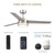 FS-CSN52RGB-BN - 52" Smart LED Ceiling Fan RGBWW DC Motor w/ Remote - Designer Fountain