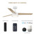 FS-CSN52RGB-MW - 52" Smart RGBWW Ceiling Fan - Designer Fountain