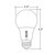 LED-A19-9W-5CCT - A19 60W Equivalent 5CCT LED Bulb - Envision