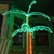 WGC-21689 - 4.5' LED Deluxe Rope Light Palm Tree, 215 Lights - Wintergreen Corporation