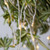 WGC-76585 - 79" Warm White LED White Lighted Willow Falling Branches, 736 Lights - Wintergreen Corporation