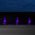 WGC-80019 - C9 Purple LED Commercial Christmas Lights, 100 Lights, 100', White Wire, 12" Spacing - Wintergreen Corporation