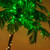 WGC-80752 - 5' LED Curved Palm Tree, 104 Lights - Wintergreen Corporation