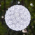WGC-82860 - 7.5" 5mm Cool White LED Twinkle Starlight Sphere, 120 Lights, Green Wire - Wintergreen Corporation