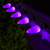 WGC-83653 - C9 Purple LED Opaque Bulbs, 25-Pack - Wintergreen Corporation