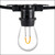 WGC-84118 - 30' Warm White LED FlexFilament Commercial Shatterproof Patio String Light Set with 10 S14 Bulbs, Black Wire, 36" Spacing - Wintergreen Corporation