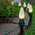 WGC-84144 - 5" Wintergreen Lighting Light Stake, 25-Pack - Wintergreen Corporation