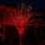 WGC-84171 - 5mm Red LED Standard Christmas Lights, 50 Lights, 17', Green Wire, 4" Spacing - Wintergreen Corporation