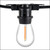 WGC-84211 - 15' Warm White LED Commercial Straight Filament Shatterproof Patio String Light Set with 10 S14 Bulbs, Black Wire, 18" Spacing - Wintergreen Corporation