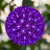 WGC-84310 - 10" T5 Purple LED Starlight Sphere, 150 Lights, Green Wire - Wintergreen Corporation
