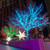 WGC-84424 - 5mm Teal LED Christmas Lights, 50 Lights, 25.5', Green Wire, 6" Spacing - Wintergreen Corporation