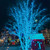 WGC-84424 - 5mm Teal LED Christmas Lights, 50 Lights, 25.5', Green Wire, 6" Spacing - Wintergreen Corporation