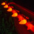 WGC-84644 - C7 Amber LED Commercial Smooth Halloween Lights, 100 Lights, 100', Green Wire, 12" Spacing - Wintergreen Corporation