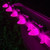 WGC-84660 - C7 Pink LED Commercial Smooth Christmas Lights, 100 Lights, 100', Green Wire, 12" Spacing - Wintergreen Corporation