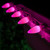 WGC-84669 - C9 Pink LED Commercial Smooth Lights, 25 Lights, 25', White Wire, 12" Spacing - Wintergreen Corporation