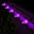 WGC-84714 - C7 Purple LED Commercial Smooth Christmas Lights, 100 Lights, 100', White Wire, 12" Spacing - Wintergreen Corporation