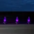 WGC-84720 - C9 Purple LED Commercial Smooth Christmas Lights, 50 Lights, 50', White Wire, 12" Spacing - Wintergreen Corporation