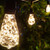WGC-84770 - 15' Warm White LED Commercial Patio String Light Set with 10 ST64 Fairy Light Bulbs, Black Wire, 18" Spacing, with Drops - Wintergreen Corporation