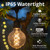 WGC-84782 - 15' Warm White LED FlexFilament Commercial Patio String Light Set with 10 G95 Edison Bulbs, Black Wire, 18" Spacing, with Drops - Wintergreen Corporation