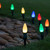 WGC-84800 - C9 Multicolor LED Commercial Smooth Christmas Pathway Lights, 5" Stakes, 50 Lights, 50', Green Wire, 12" Spacing - Wintergreen Corporation