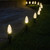 WGC-84803 - C9 Warm White LED Commercial Christmas Pathway Lights, 5" Stakes, 25 Lights, 25', Green Wire, 12" Spacing - Wintergreen Corporation