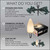 WGC-84824 - C9 Warm White LED Commercial Smooth Christmas Pathway Lights, 5" Stakes, 100 Lights, 100', Green Wire, 12" Spacing - Wintergreen Corporation