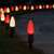 WGC-84828 - C9 Warm White/Red LED Commercial Christmas Pathway Lights, 5" Stakes, 100 Lights, 100', Green Wire, 12" Spacing - Wintergreen Corporation