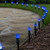WGC-84845 - C7 Blue LED Commercial Christmas Pathway Lights, 5" Stakes, 100 Lights, 100', Green Wire, 12" Spacing - Wintergreen Corporation