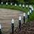 WGC-84846 - C7 Cool White LED Commercial Christmas Pathway Lights, 5" Stakes, 100 Lights, 100', Green Wire, 12" Spacing - Wintergreen Corporation