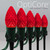WGC-84849 - C7 Red LED Commercial Christmas Pathway Lights, 5" Stakes, 100 Lights, 100', Green Wire, 12" Spacing - Wintergreen Corporation