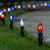 WGC-85149 - C7 Multicolor LED Commercial Shatterproof Patriotic Pathway Lights, 5" Stakes, 75 Lights, 75', Black Wire, 12" Spacing - Wintergreen Corporation