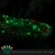 WGC-85175 - 4'x6' 5mm Green/Red LED SoftTwinkle Christmas Net Lights, 70 Lights, Green Wire - Wintergreen Corporation