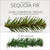 WGC-85639 - 30" 5mm Warm White LED Commercial Sequoia Fir Prelit Wreath, 100 SoftTwinkle Lights - Red Sleigh