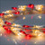 WGC-87406 - 18' Red/Warm White LED Garland Lights, 600 Lights, White Wire - Wintergreen Corporation