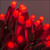 WGC-88381 - D5 Red LED Christmas Lights, 70 Lights, 24', Green Wire, 4" Spacing - Wintergreen Corporation