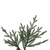 VIC-A110290 - 12' x 75" Slim Itasca Fraser Fir 5208T - Vickerman