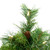VIC-A801001LED - 2' x 17" Cheyenne Pine 78T LED 50 Warm White - Vickerman