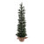 VIC-B166830 - 3' x 11" Mini Pine Tree 378T Burlap Base - Vickerman