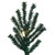VIC-B166831LED - 3' x 11" Mini Pine Tree Dura-lit 50 Warm White - Vickerman
