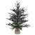 VIC-B803919 - 18" Carmel Pine W/Cones 294T Burlap Base - Vickerman