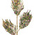 VIC-EH250167 - 26" Mardi Gras Glitter Spray, 3-Pack - Vickerman