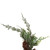VIC-FQ224124 - 24" Frosted Cedar Hanging Wreath W/Cone - Vickerman