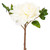 VIC-FXT240111 - 16.5" Cream Fresh Touch Peony, 3-Pack - Vickerman