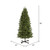 VIC-G125066LED - 6.5' x 41" Slim Grand Teton WA LED 550 Warm White - Vickerman