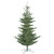 VIC-G160285 - 10' x 74" Alberta Spruce 1856T - Vickerman