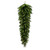 VIC-G193706LED - 36" Bangor Mixed Teardrop Dura-lit 50 Warm White - Vickerman
