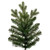 VIC-G230885 - 10' x 58" Washington Fraser Fir 4499T - Vickerman